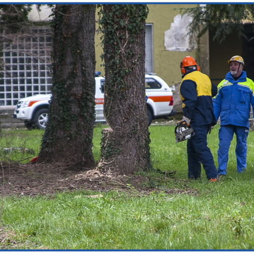 Attivit‡ formativa per capisquadra n. 22 / 104240