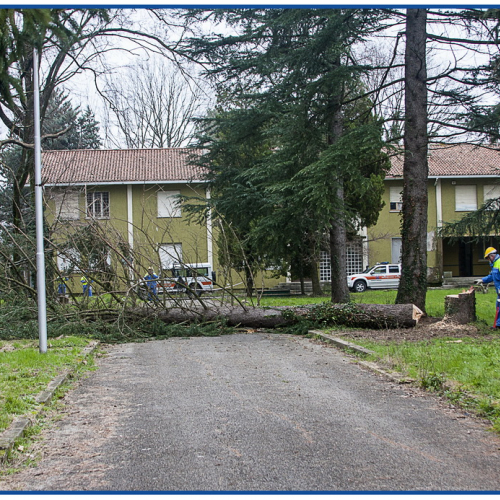 Attivit‡ formativa per capisquadra n. 24 / 104242