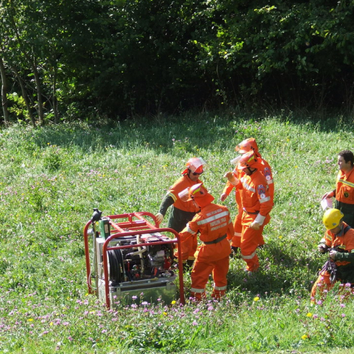 Esercitazione Zenodis 2009 n. 20 / 43333