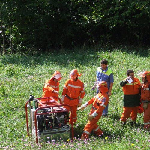 Esercitazione Zenodis 2009 n. 21 / 43334