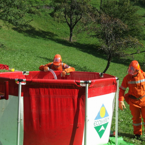 Esercitazione Zenodis 2009 n. 24 / 43337
