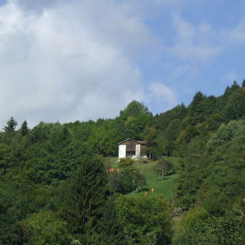 Esercitazione Zenodis 2009 n. 26 / 43339
