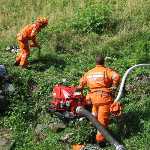 Esercitazione Zenodis 2009 n. 29 / 43342