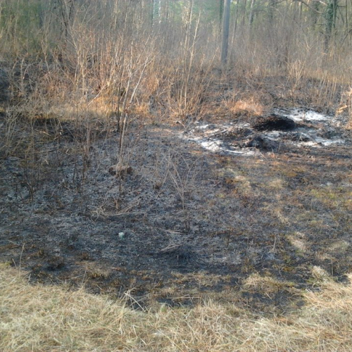 Incendio boschivo a Caneva di Tolmezzo n. 1 / 78418