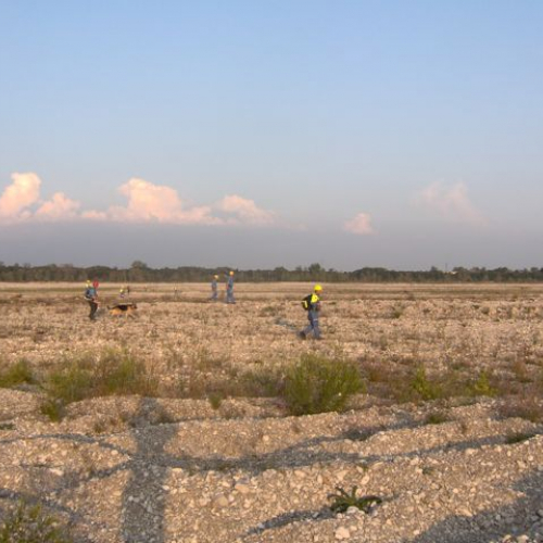 Esercitazione Twister2009 n. 62 / 44466