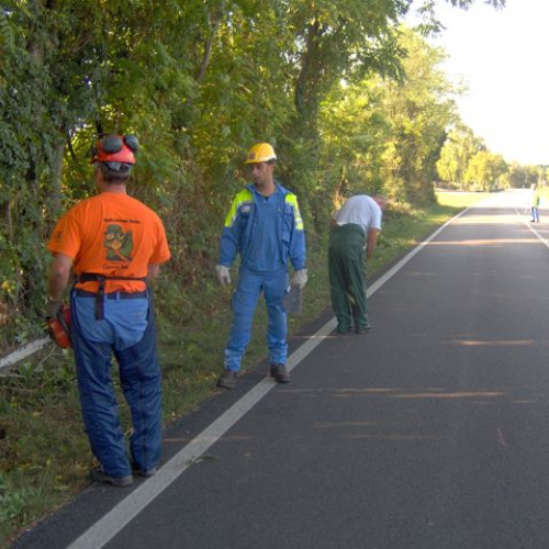 Esercitazione Twister2009 n. 67 / 44471