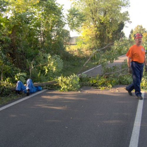 Esercitazione Twister2009 n. 69 / 44473