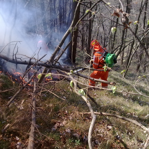 Incendio boschivo Tramonti di Sotto n. 3 / 79665