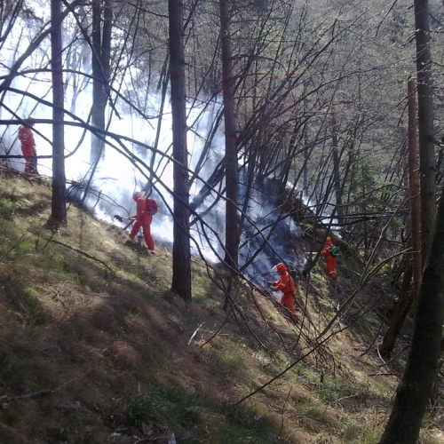 Incendio boschivo Tramonti di Sotto n. 4 / 79666