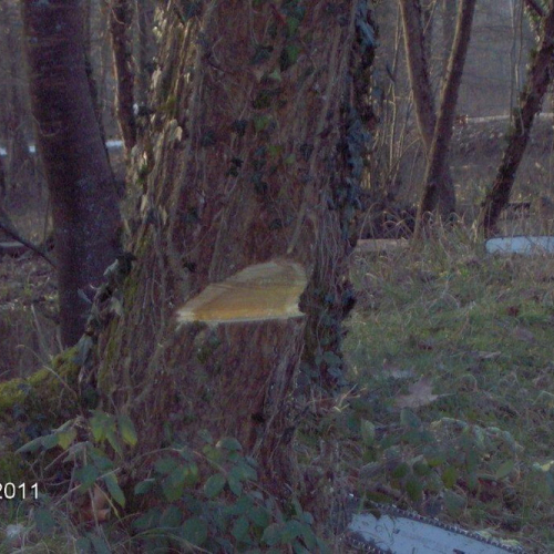 Attivit‡ addestrativa 30/01/11 n. 7 / 60924