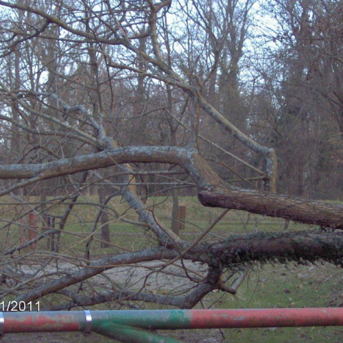 Attivit‡ addestrativa 30/01/11 n. 8 / 60925