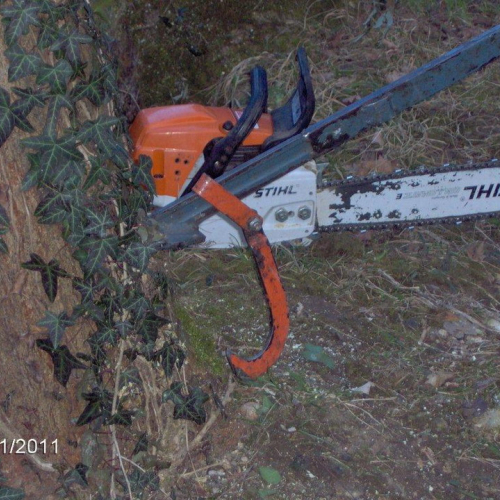Attivit‡ addestrativa 30/01/11 n. 12 / 60929