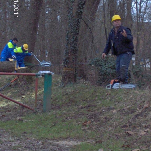 Attivit‡ addestrativa 30/01/11 n. 16 / 60933