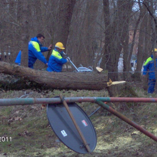 Attivit‡ addestrativa 30/01/11 n. 17 / 60934