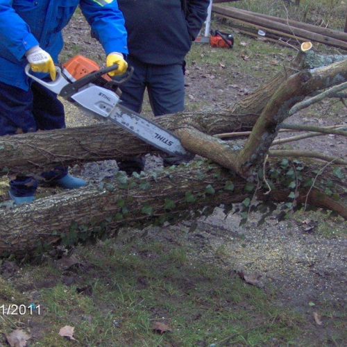 Attivit‡ addestrativa 30/01/11 n. 21 / 60938
