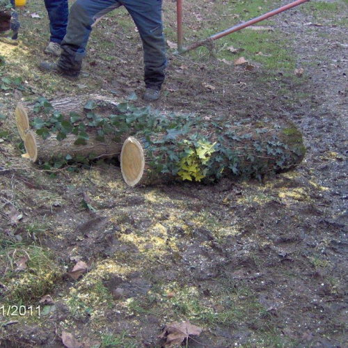 Attivit‡ addestrativa 30/01/11 n. 29 / 60946