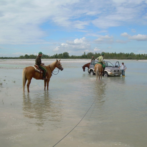 Addestramento ricerca e soccorso fiume Tagliamento n. 7 / 110573