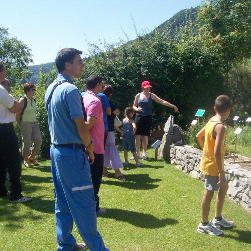 Visita ospiti abruzzesi n. 7 / 40978