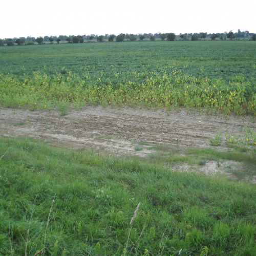 Attivit‡ addestrativa del 27/08 n. 4 / 69881