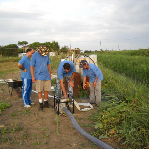 Attivit‡ addestrativa del 27/08 n. 9 / 69886