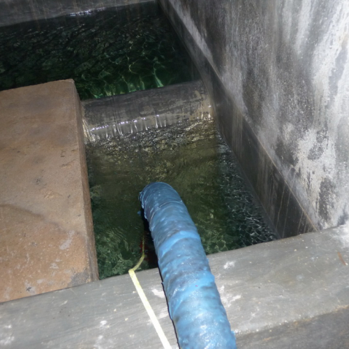 Esercitazione Monte Amariana - Fuoco in Pineit 2012" n. 48""sercitazione "Monte Amariana - Fuoco in Pine""ercitazione "Monte Amariana - ""rcitazione "Monte""citaz" / 83847