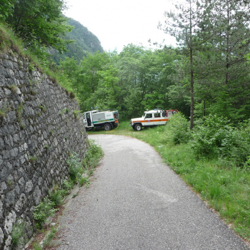 Esercitazione Monte Amariana - Fuoco in Pineit 2012" n. 54""sercitazione "Monte Amariana - Fuoco in Pine""ercitazione "Monte Amariana - ""rcitazione "Monte""citaz" / 83853