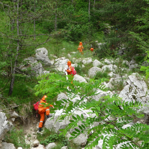 Esercitazione Monte Amariana - Fuoco in Pineit 2012" n. 58""sercitazione "Monte Amariana - Fuoco in Pine""ercitazione "Monte Amariana - ""rcitazione "Monte""citaz" / 83857