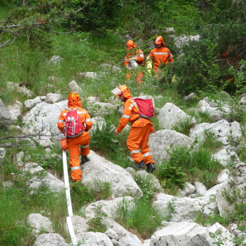 Esercitazione Monte Amariana - Fuoco in Pineit 2012" n. 59""sercitazione "Monte Amariana - Fuoco in Pine""ercitazione "Monte Amariana - ""rcitazione "Monte""citaz" / 83858
