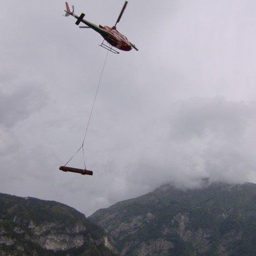 Esercitazione Monte Amariana - Fuoco in Pineit 2012" n. 76""sercitazione "Monte Amariana - Fuoco in Pine""ercitazione "Monte Amariana - ""rcitazione "Monte""citaz" / 83875