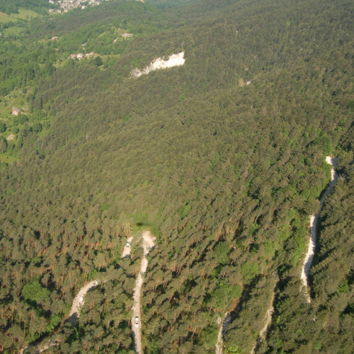 Sagata2010 n. 13 / 52795