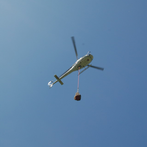 Sagata2010 n. 22 / 52804