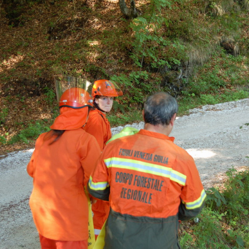 Sagata2010 n. 26 / 52808