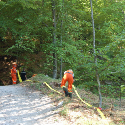 Sagata2010 n. 29 / 52811