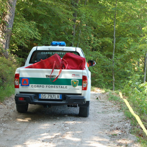 Sagata2010 n. 30 / 52812