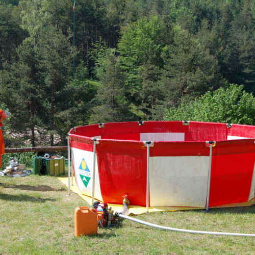 Sagata2010 n. 37 / 52819