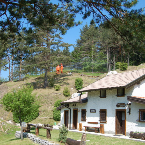 Sagata2010 n. 39 / 52821