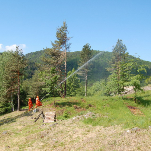 Sagata2010 n. 45 / 52827