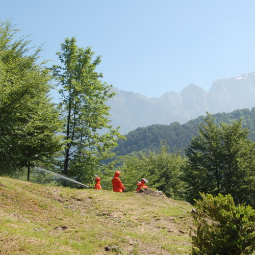 Sagata2010 n. 46 / 52828