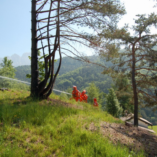 Sagata2010 n. 49 / 52831