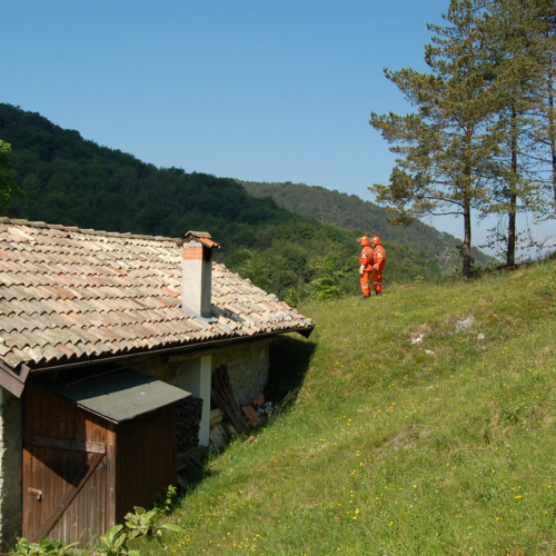 Sagata2010 n. 50 / 52832