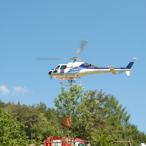 Sagata2010 n. 58 / 52840