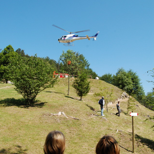 Sagata2010 n. 63 / 52845