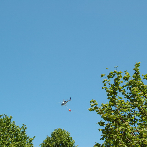 Sagata2010 n. 65 / 52847