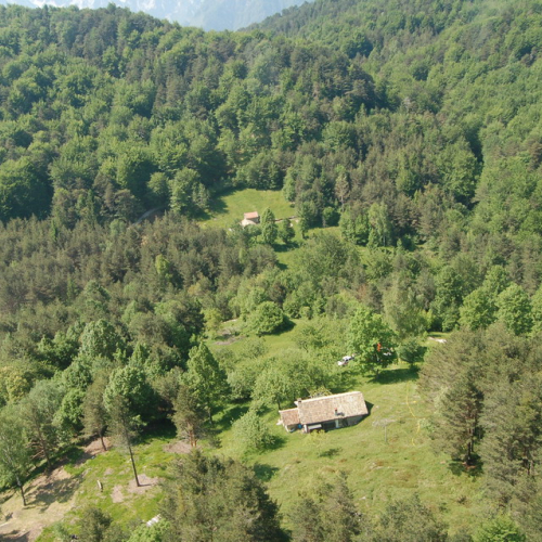 Sagata2010 n. 68 / 52850