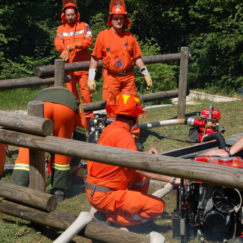 Sagata2010 n. 72 / 52854