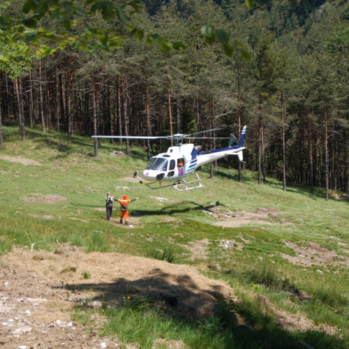 Sagata2010 n. 83 / 52865