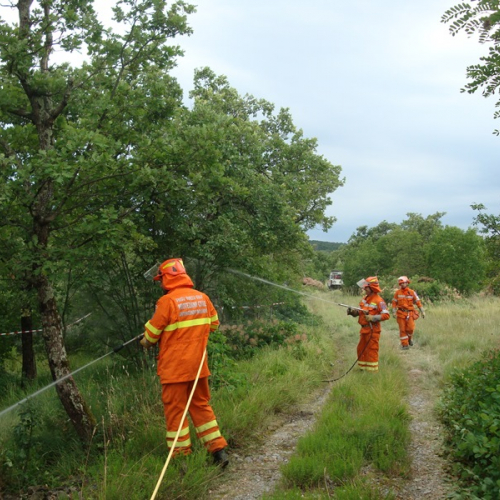 Esercitazione AIB-RFI / 116589