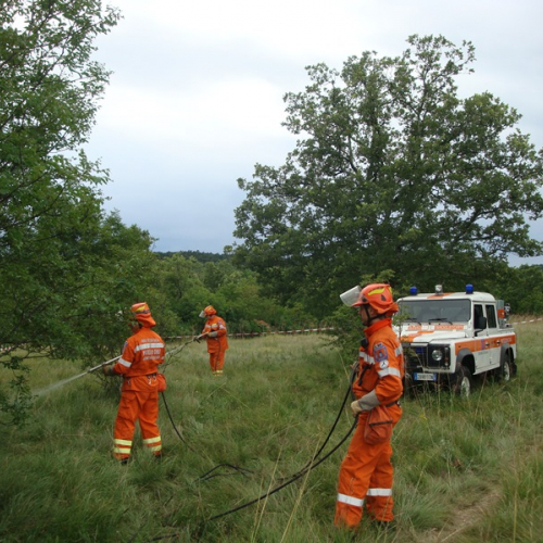 Esercitazione AIB-RFI / 116590