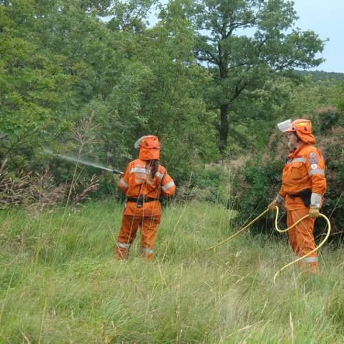 Esercitazione AIB-RFI / 116591