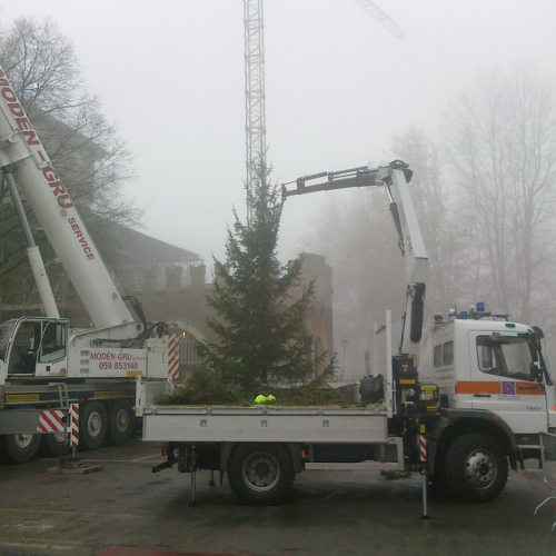 Trasporto albero di Natale n. 2 / 102543